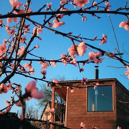 Eg & Foeld Borvendeghaz 4*