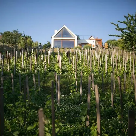 Eg & Foeld Borvendeghaz ゲストハウス Szekszárd