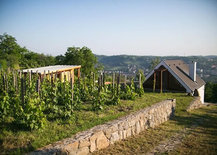ég&föld Borvendégház 4* Szekszárd
